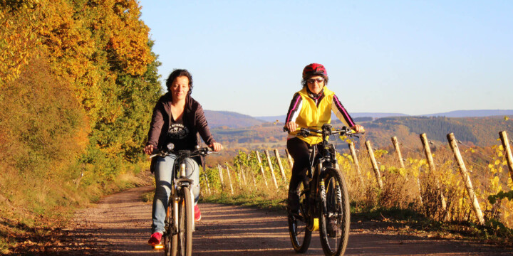 Mountainbiken in den Weinbergen