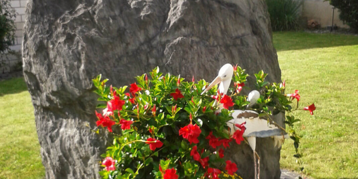 Ferienhaus Willwert - Liegewiese